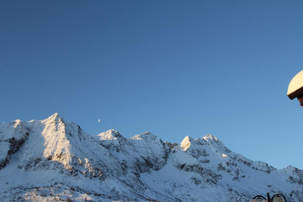 Hotel Residence Dahu Passo del Tonale Dış mekan fotoğraf